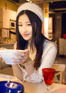 安装步骤示意图